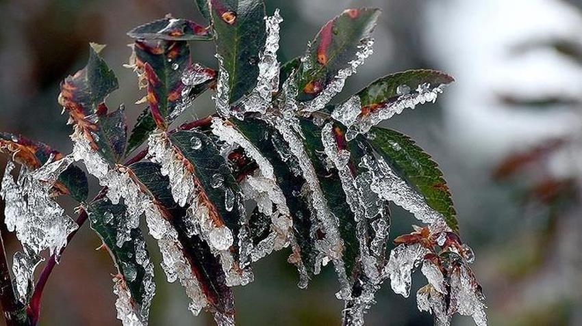 Bayburt için peş peşe uyarılar! Üreticilere kar, çığ ve zirai don alarmı