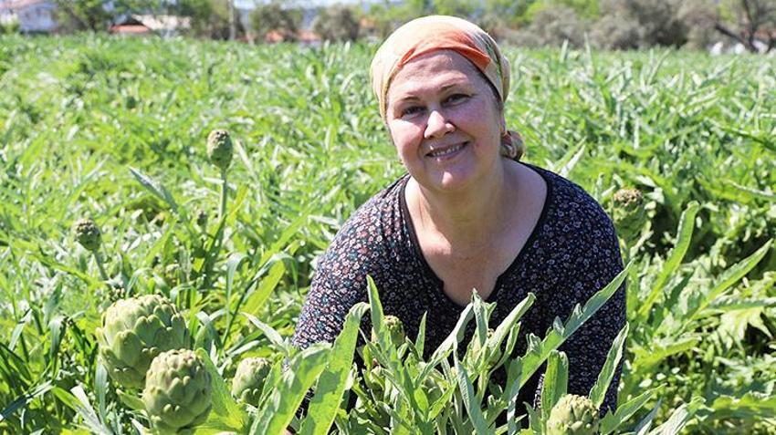 İzmir'in 'çılgın' sebzesi! Hasadı aylarca sürüyor kazancı bitmiyor