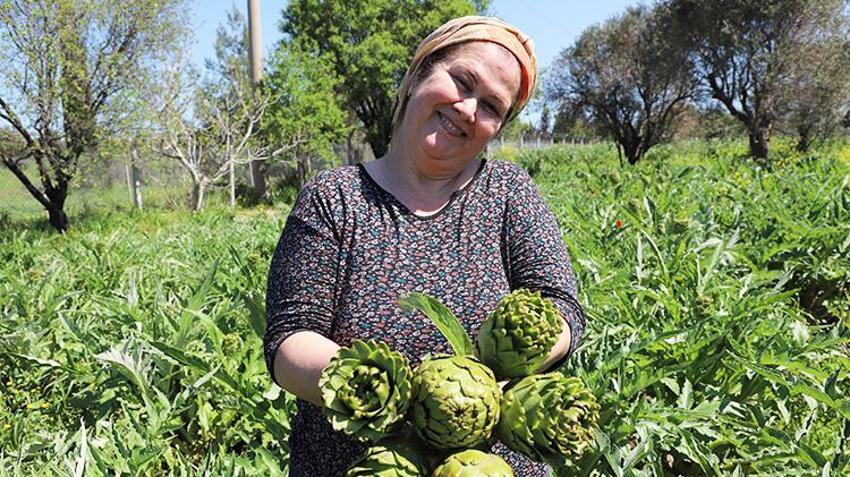 İzmir'in 'çılgın' sebzesi! Hasadı aylarca sürüyor kazancı bitmiyor