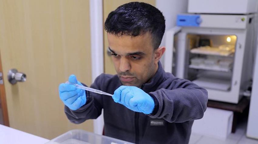 Antalya'da büyük tehlike! Gündüz ısıran bu türe dikkat: Yoğun yağışlar üreme alanlarını patlattı, yumurtası 6 ay ölmüyor!