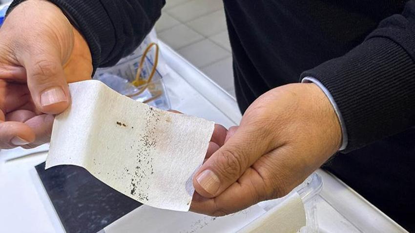 Antalya'da büyük tehlike! Gündüz ısıran bu türe dikkat: Yoğun yağışlar üreme alanlarını patlattı, yumurtası 6 ay ölmüyor!