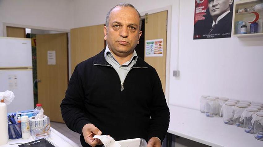 Antalya'da büyük tehlike! Gündüz ısıran bu türe dikkat: Yoğun yağışlar üreme alanlarını patlattı, yumurtası 6 ay ölmüyor!