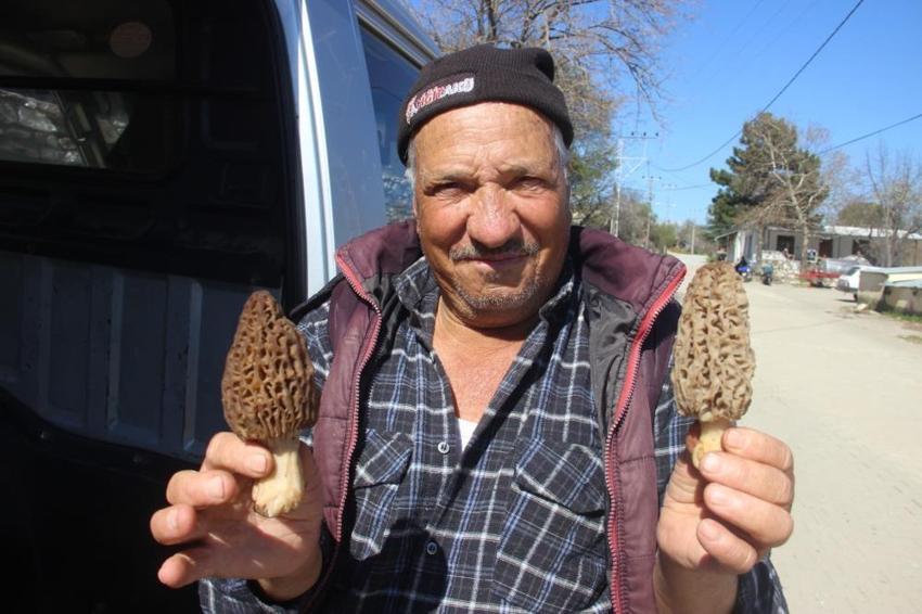 Vatandaşlar toplamak için oraya akın ediyor: Kilosu bin lira! Köylünün yeni gelir kapısı oldu