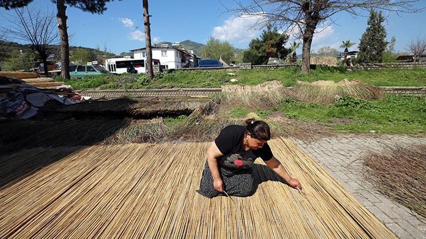 Aydın'da kargı kamışından dünya markası çıkardılar! Sahillerin vazgeçilmezi Ilıcabaşı’ndan gidiyor! Her ev bir atölye, her sokak bir fabrika oldu