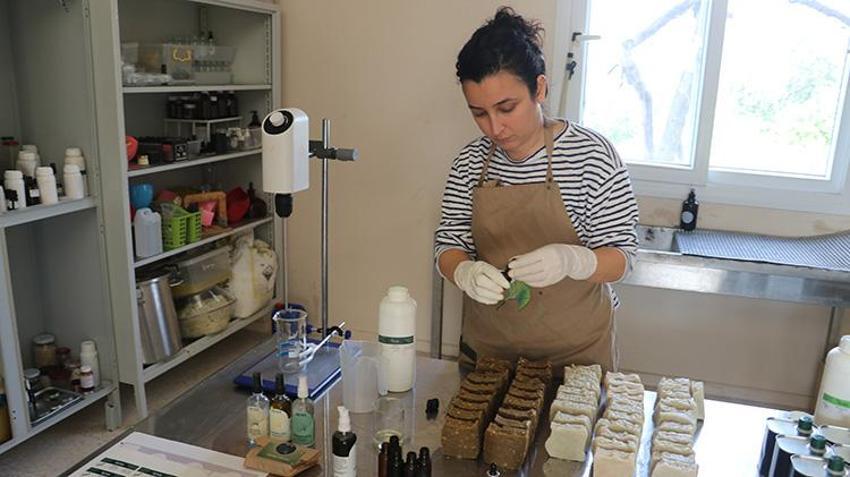 Adana'da kadın girişimciden örnek proje: Mühendisliği bıraktı, Adana'da 50 dönüm araziden marka çıkardı! 70 ton tıbbi bitkiyi altına dönüştürdü
