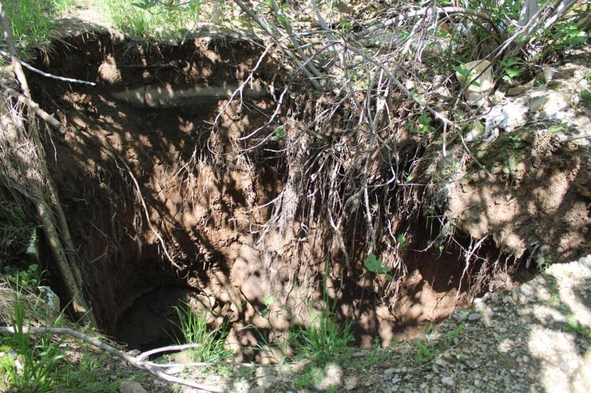 Aydın’da bahçe duvarı yıkılınca ortaya çıktı: Tam 30 metre! Görünce gözlerine inanamadılar