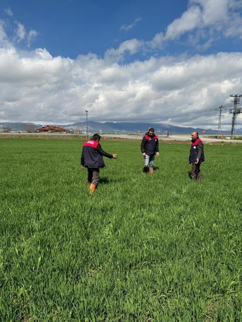 Hububat ekimi tamamlandı! Elazığlı çiftçiye kritik uyarı!