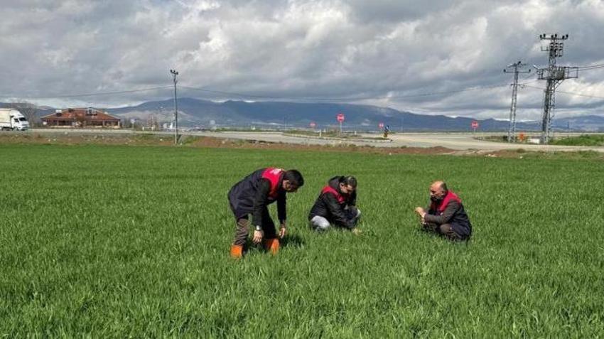 Hububat ekimi tamamlandı! Elazığlı çiftçiye kritik uyarı!