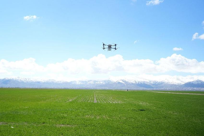 Muş’ta üreticiler modern tarım teknikleriyle 42 bin dönümlük tarım arazisini dron ile gübreledi