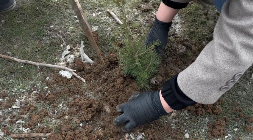 Memleketi Hakkari'ye döndü, her caddeye yaptı! Girişimci kadın yıllarca anlatılacak