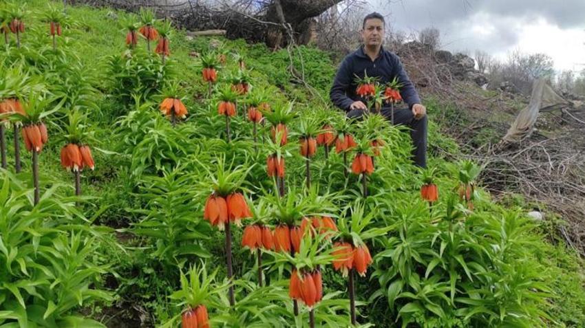 Sadece 20 gün görülebilecek! Koparmanın cezası tam 700 bin TL: Görmek için oraya koştular