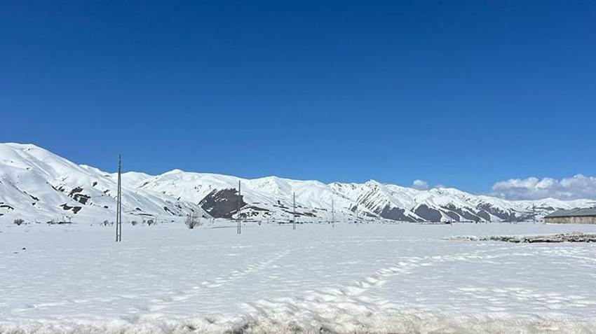 Yüksekova'da besiciler zor günlere girdi! Kar erimiyor yem bitiyor