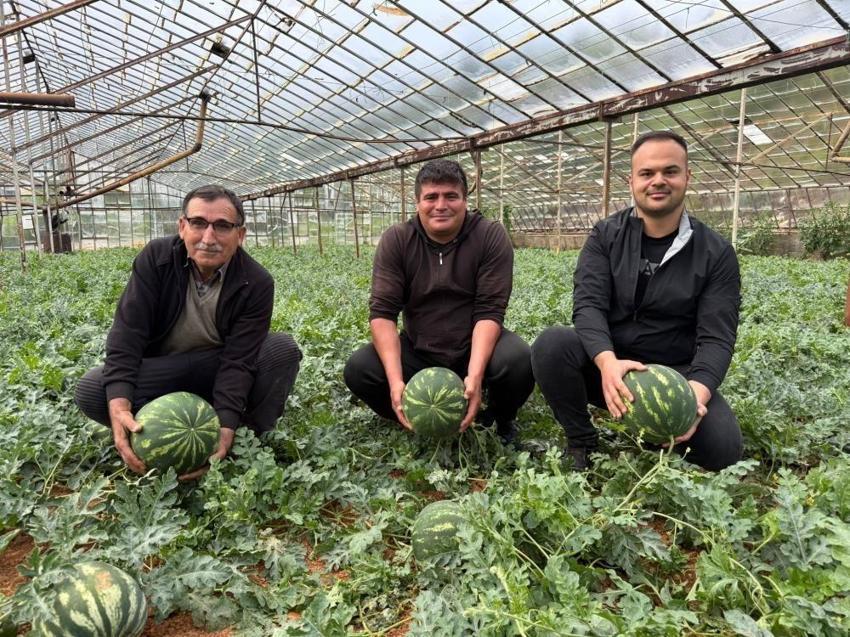 Antalya'da 15 Nisan bekleniyor! Tarlada hasat 90 gün sürecek: Türkiye'nin ihtiyacının kilosu belli oldu