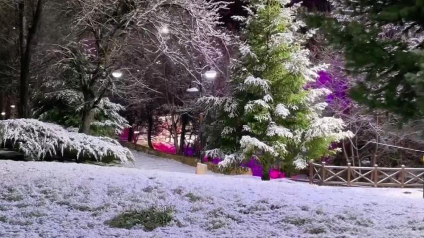 Sivas'a Nisan sürprizi: Gece vakti şehir merkezinde görüldü!