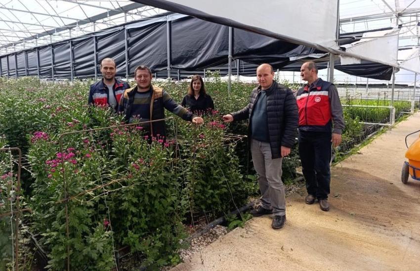 Kütahyalı üreticinin yeni gözdesi oldu! Eken pişman olmuyor: Avrupa ülkeleri sıraya girdi