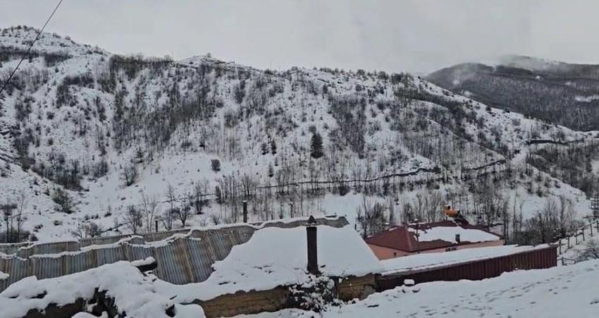 Erzincan'da Nisan bitmeden görüldü: Refahiye'de görenler şaşkına döndü