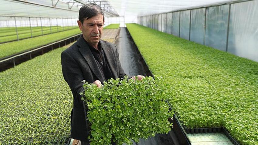 Arkadaşının tavsiyesiyle başladı, şimdi bölge tedarikçisi oldu! Doğu ve Karadeniz'in ihtiyacını tek başına karşılıyor: Yıllık dört milyon üretiyor