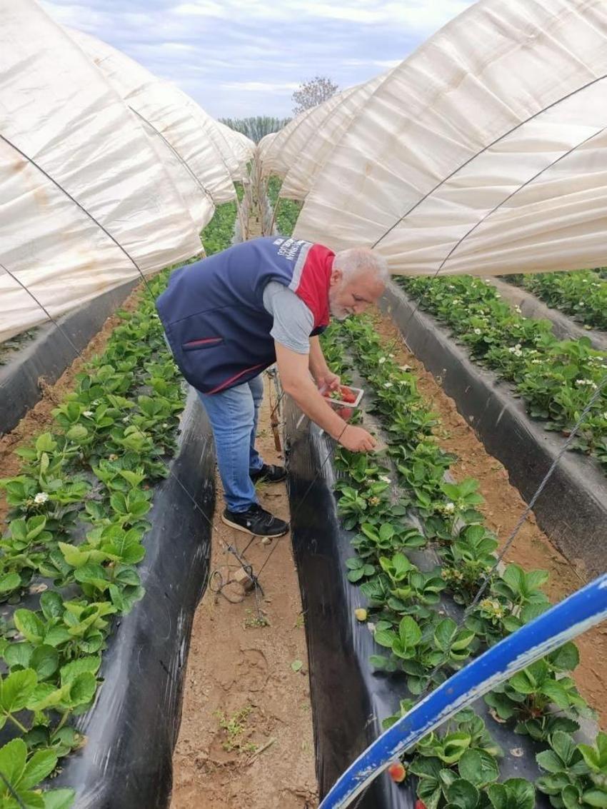 Aydın'da çalışmalar başladı: Üreticilere son uyarı yapıldı
