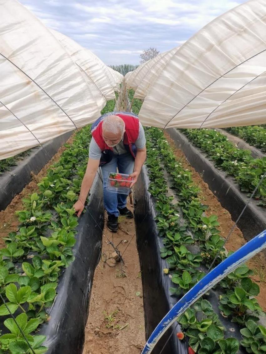 Aydın'da çalışmalar başladı: Üreticilere son uyarı yapıldı