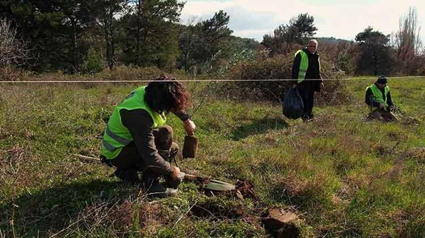 13 yıl önce başladı on binlerce fidanı toprakla buluşturdu: Şimdi hedefi 1 milyon zeytin ağacı