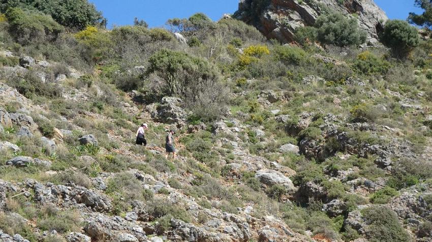 Türkiye'de kış Antalya'da yaz! Ünlü plaj yerli ve yabancı turistlerin akınına uğradı