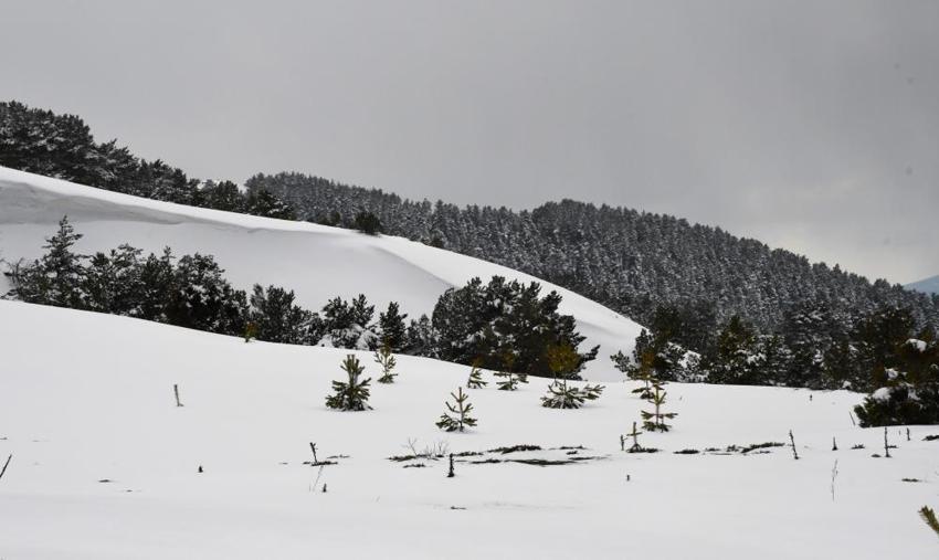 Yozgat'ta manzarayı yakalamak için 2 bin 77 metre gerekiyor!