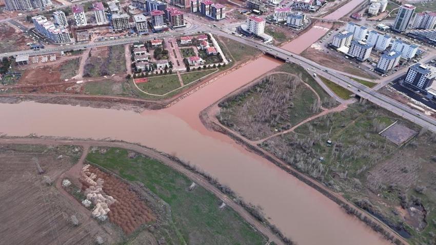 Sivas'ta bu yıl da oldu: Baharın gelişini müjdeledi