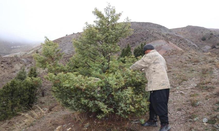 Erzurum'da miras kaldı: Atadan kalma yöntem kullanıldı