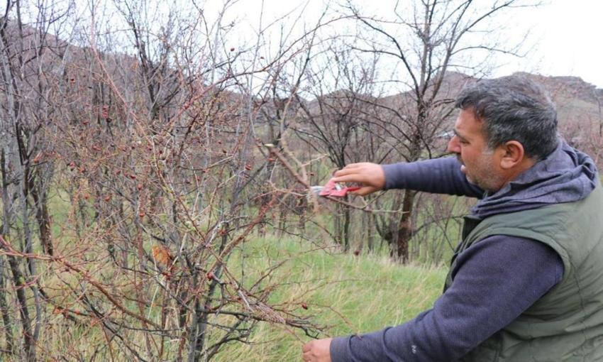 Erzurum'da miras kaldı: Atadan kalma yöntem kullanıldı