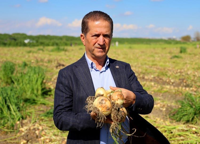 Adana'da hasat başladı: Pazarda ne kadar olacak? Çiftçinin gözü kulağı fiyatta: '15 liranın altı zarar veriyor'