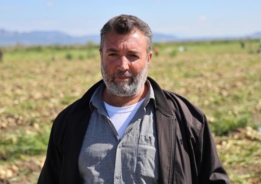 Adana'da hasat başladı: Pazarda ne kadar olacak? Çiftçinin gözü kulağı fiyatta: '15 liranın altı zarar veriyor'