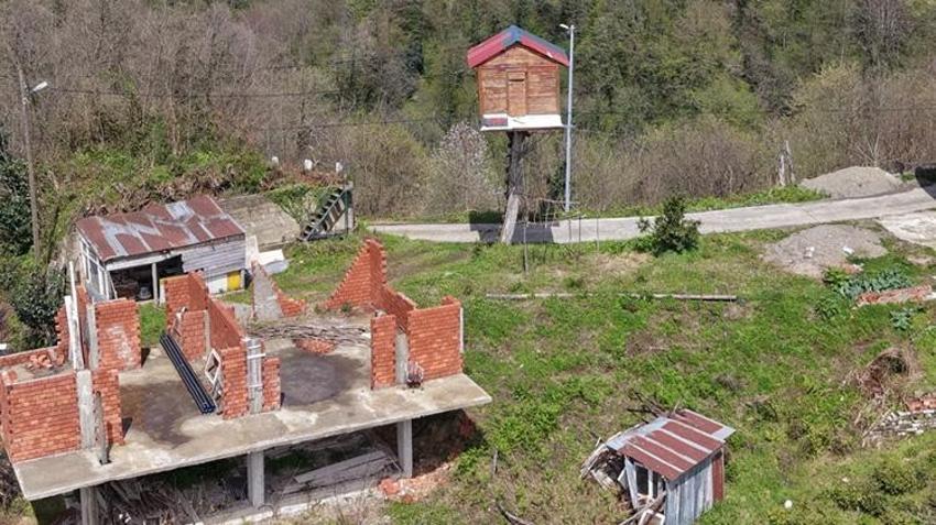 Çocukluk hayaliydi, kimseye aldırmadan başladı! Ceviz ağacının tepesine inşa etti: Görenler şaşkına dönüyor