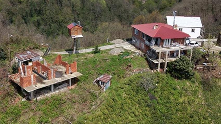 Çocukluk hayaliydi, kimseye aldırmadan başladı! Ceviz ağacının tepesine inşa etti: Görenler şaşkına dönüyor