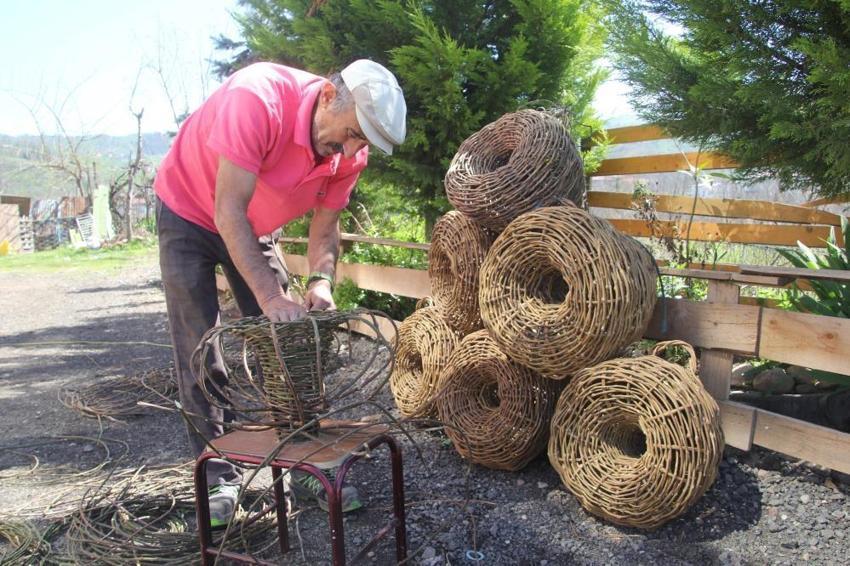 Ordu'da doğadan toplayıp eve getiriyor! Çocukluk merakı kazanç kapısı oldu: Tanesi 2 bin liradan sipariş yağıyor