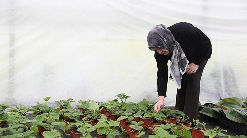 Samsunlu ev hanımı belediye desteğiyle başladığı işte hayatı değişti! Kadınlara istihdam sağlayarak Türkiye'nin her yerine ürün gönderiyor