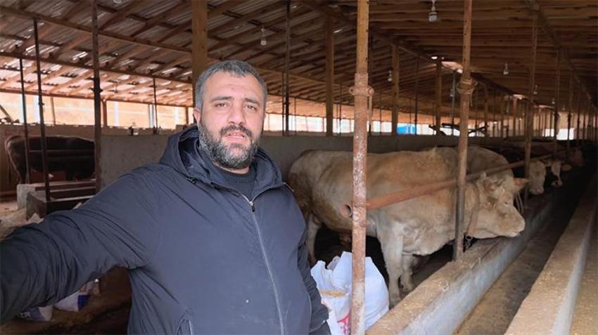 Araba fiyatına kurbanlık! 'Paşa'nın fiyatı dudak uçuklattı