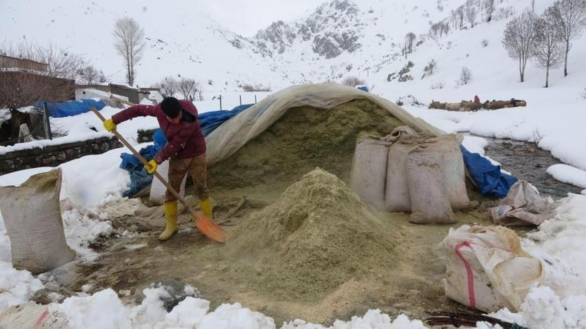 Bitlis'te kış uzun sürünce köylerde görülmeye başlandı!