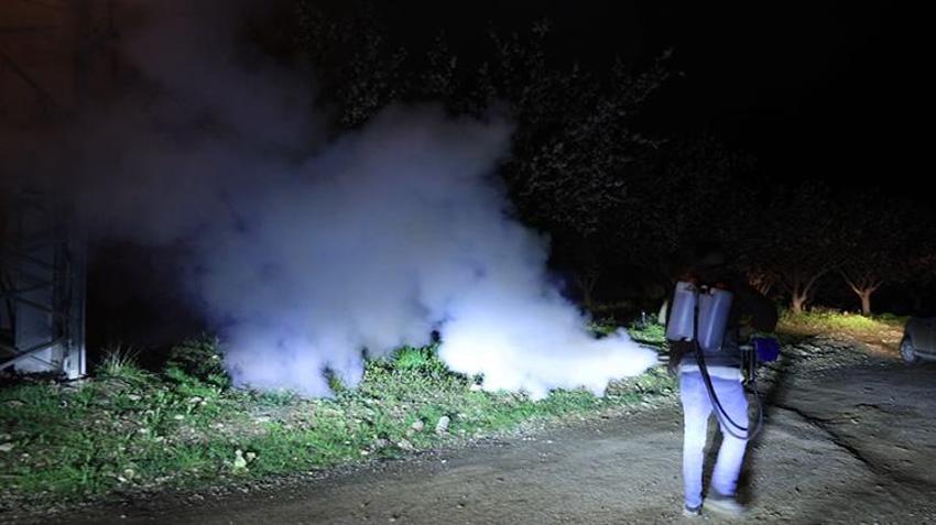 Malatya'daki bahçelerde gece ateşleri yanmaya başladı! Kayısıda kritik süreç başladı