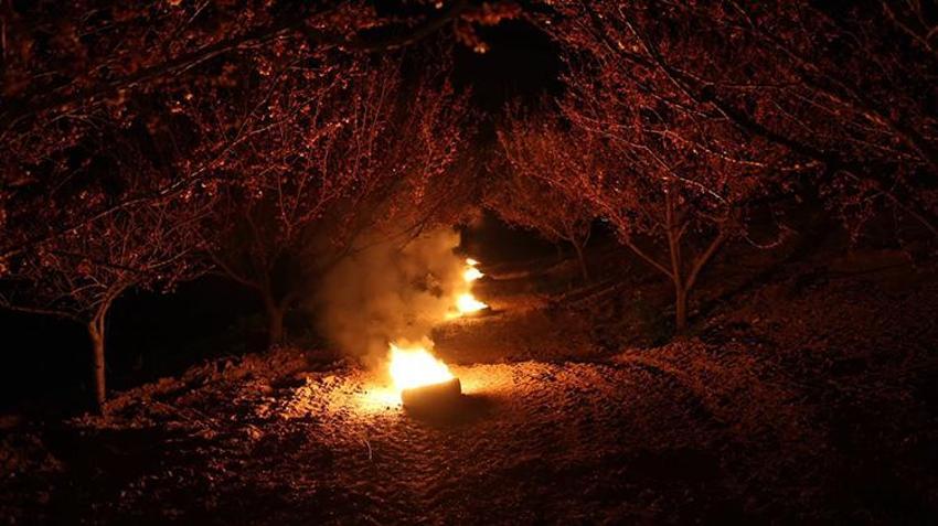 Malatya'daki bahçelerde gece ateşleri yanmaya başladı! Kayısıda kritik süreç başladı