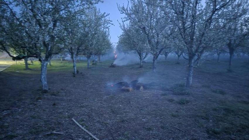 Iğdır'da gece yarısı bahçelere akın ettiler! Asırlık yöntemle nöbet başladı