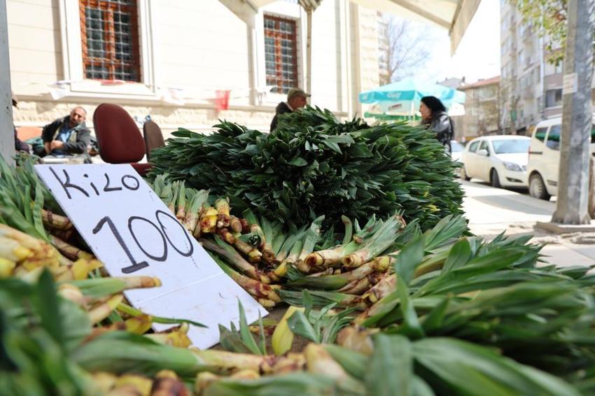 Elazığ ve Tunceli dağlarında kendiliğinden yetişiyor! Hasadı 2 ay sürüyor: Kilosu 100 liradan kapış kapış satılıyor