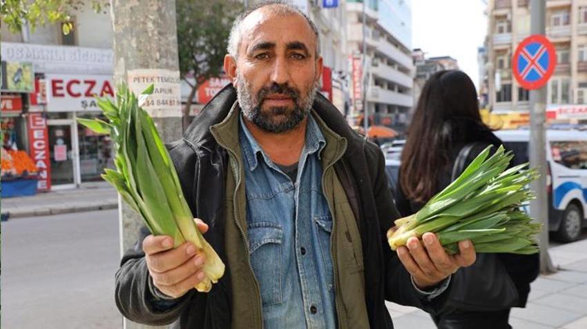 Elazığ ve Tunceli dağlarında kendiliğinden yetişiyor! Hasadı 2 ay sürüyor: Kilosu 100 liradan kapış kapış satılıyor