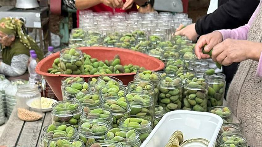 Muğla’nın 'yeşil altını' kavanozlara girdi! Hasadın ardından kadınlar harekete geçti: Taleplere yetişilemiyor!