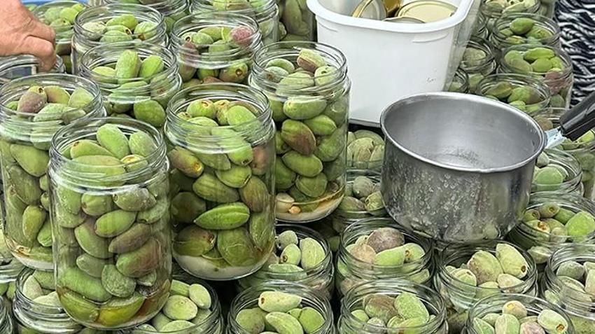 Muğla’nın 'yeşil altını' kavanozlara girdi! Hasadın ardından kadınlar harekete geçti: Taleplere yetişilemiyor!
