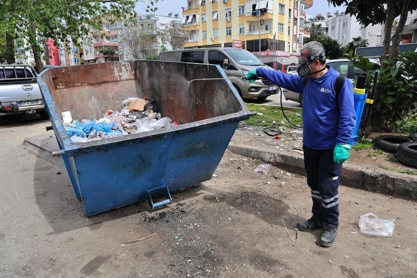 Antalya'da şehrin göbeğinde adım başı görülüyor! Sezon öncesi alarm verildi