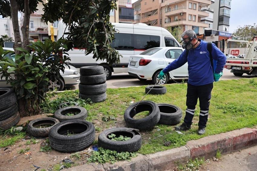 Antalya'da şehrin göbeğinde adım başı görülüyor! Sezon öncesi alarm verildi