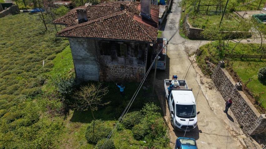 Trabzon'da 30 milyonluk bütçeyle kahverengi kokarcaya karşı büyük mücadele başladı: Üreticiye uyarılar peş peşe geldi: 35 yıl sürebilir, hazırlıklı olun