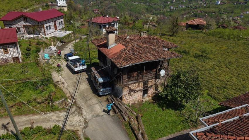 Trabzon'da 30 milyonluk bütçeyle kahverengi kokarcaya karşı büyük mücadele başladı: Üreticiye uyarılar peş peşe geldi: 35 yıl sürebilir, hazırlıklı olun