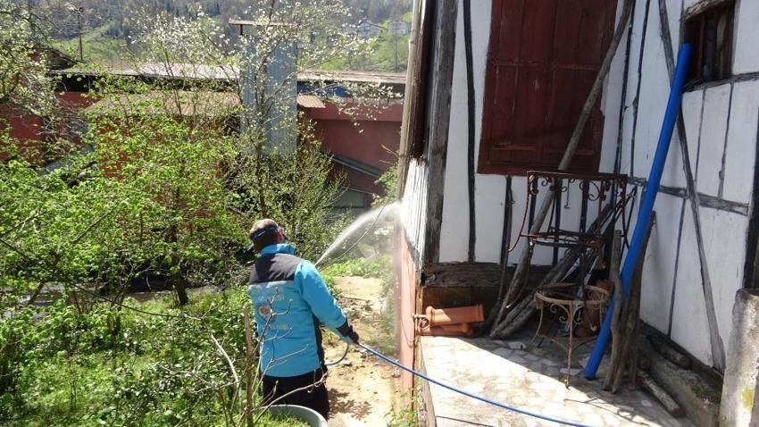Trabzon'da 30 milyonluk bütçeyle kahverengi kokarcaya karşı büyük mücadele başladı: Üreticiye uyarılar peş peşe geldi: 35 yıl sürebilir, hazırlıklı olun