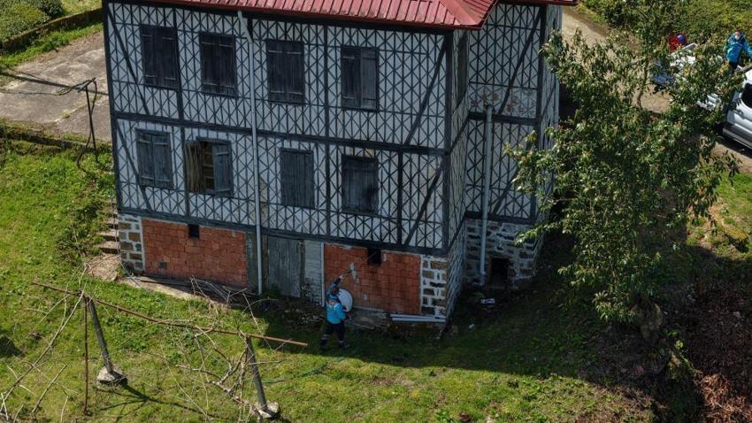 Trabzon'da 30 milyonluk bütçeyle kahverengi kokarcaya karşı büyük mücadele başladı: Üreticiye uyarılar peş peşe geldi: 35 yıl sürebilir, hazırlıklı olun